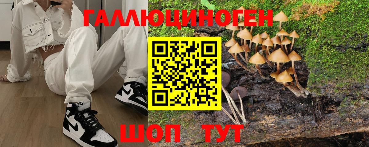 Галлюциногенные грибы прущие грибы Лыткарино