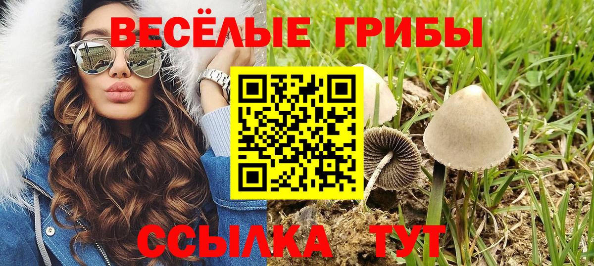 Псилоцибиновые грибы ЛСД  Вход с VPN  Лыткарино 